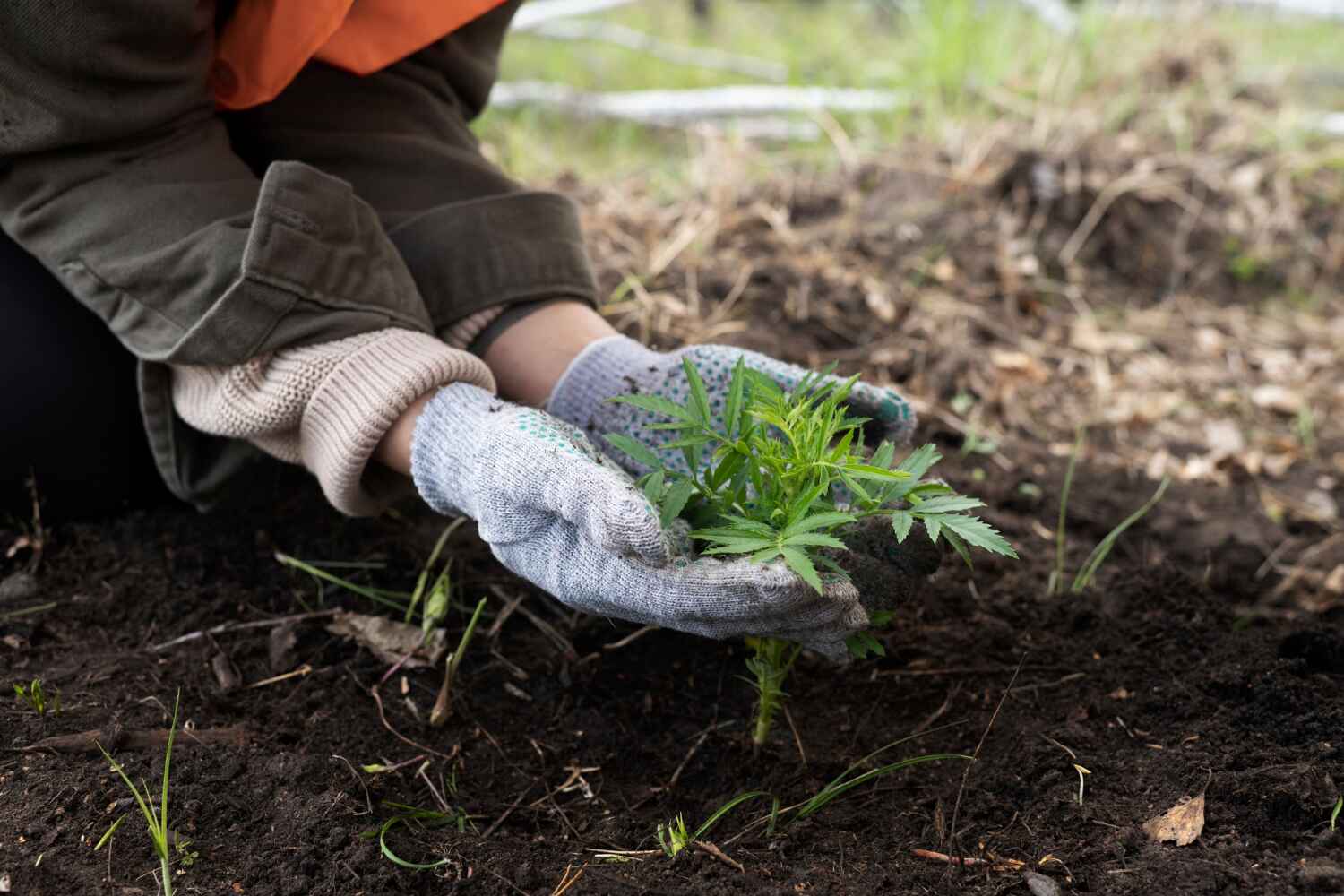 Best Residential Tree Removal  in Shiloh, PA